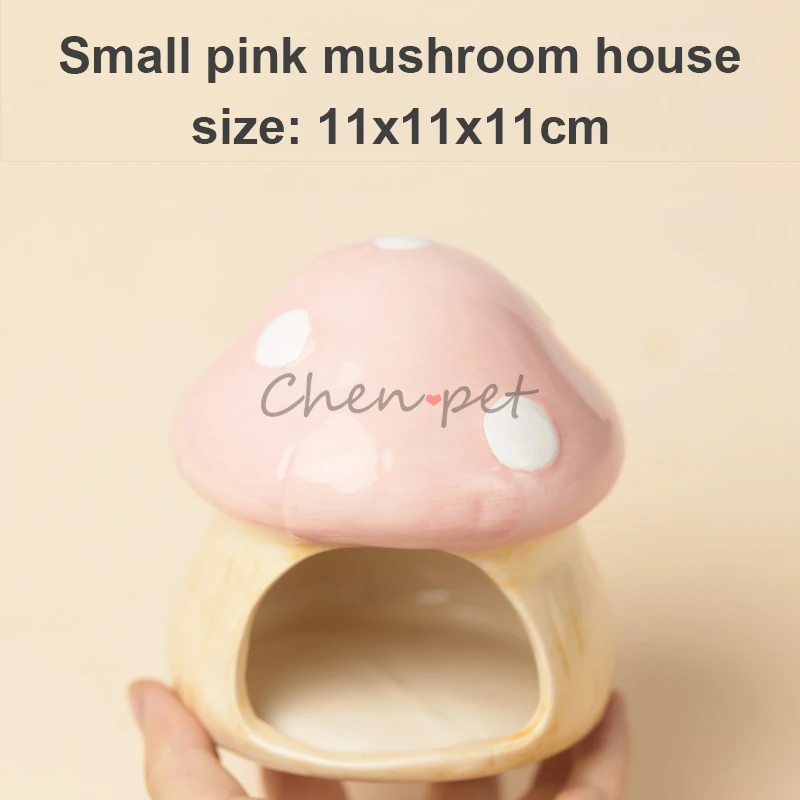 Small pink house