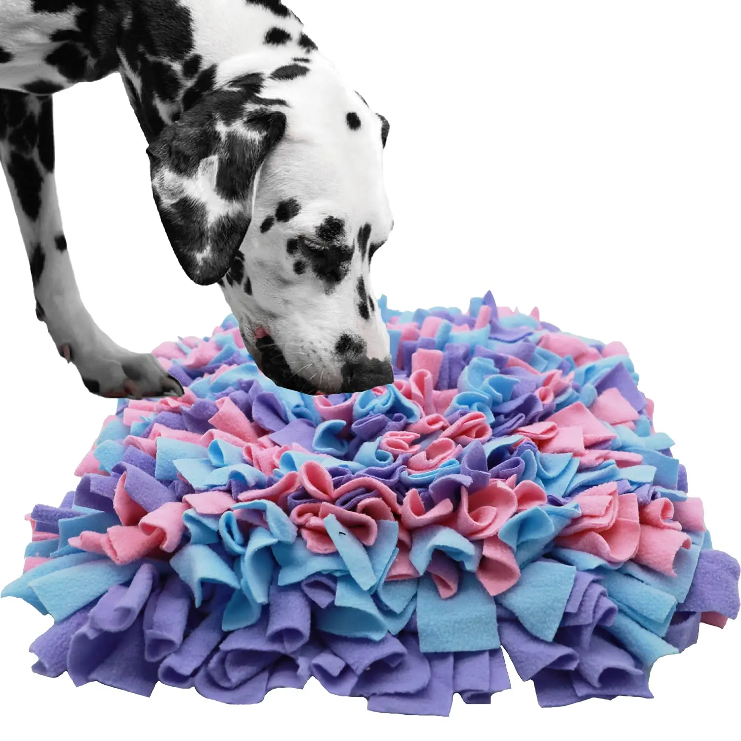 https://ae01.alicdn.com/kf/S6050e372b71f4b098af2929361c56cd6E/Pet-Dog-Snuffle-Mat-Nose-Smell-Training-Sniffing-Pad-Dog-Puzzle-Toy-Slow-Feeding-Bowl-Food.jpg