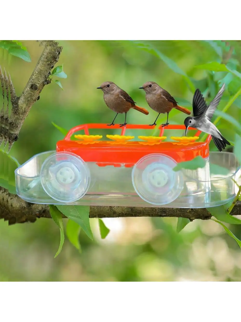 Window Hummingbird Feeders, Strong Suction Cups Hummingbird Feeder With Ant Moat, 4 Feeding Ports, Easy To Clean And Refill