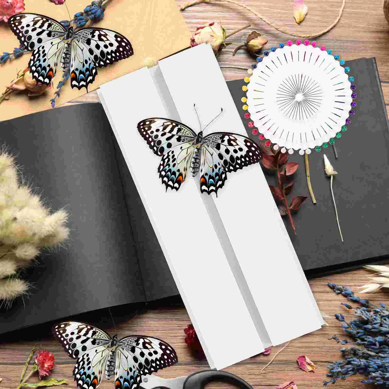 Insect Butterfly Mounting Spreading Board Insect Spreading Board Specimen Display