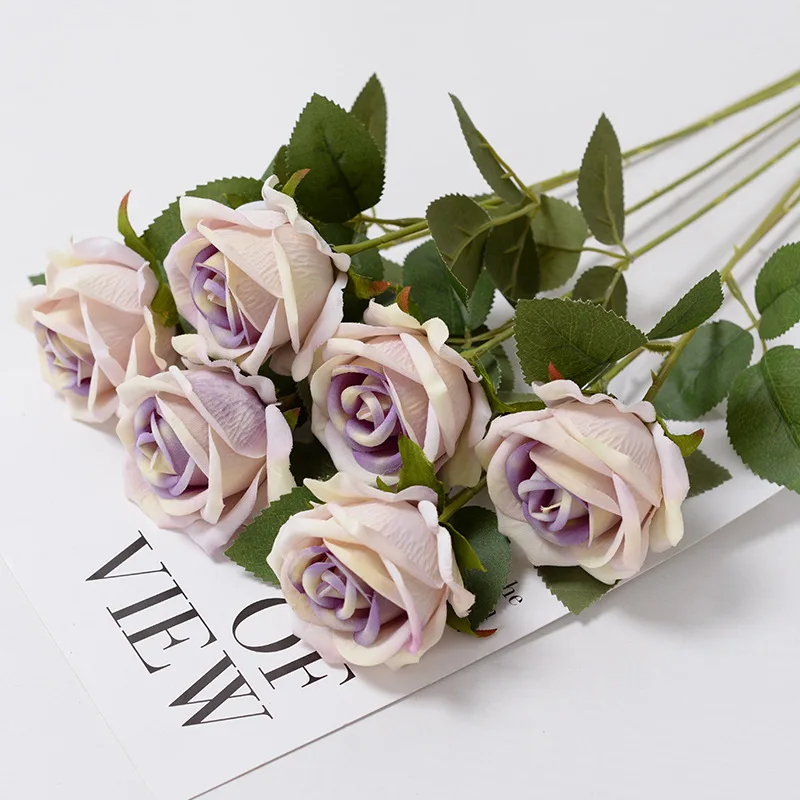purple core rose