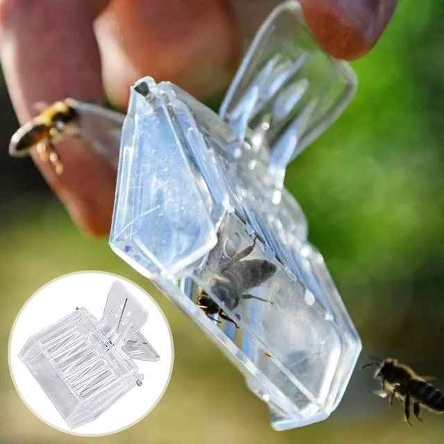 Queen Bee Catcher Ketrec Méhészek Rofesszionális Méhész Eszköz Műanyag Átlátszó Méhcsapda Clip Professzionális Méhészeti - Image 2
