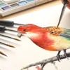 Brush Painting Set Detail Fine Miniature Watercolor Hair Acrylic Wolf Miniatures Liners Artist Micro Oil Kit Drawing 6
