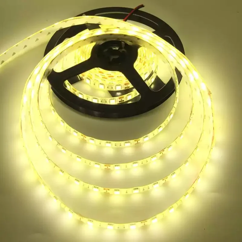 5M Led Strip Light 5050 2835 RGB Tape DC12V Waterproof White Warm White