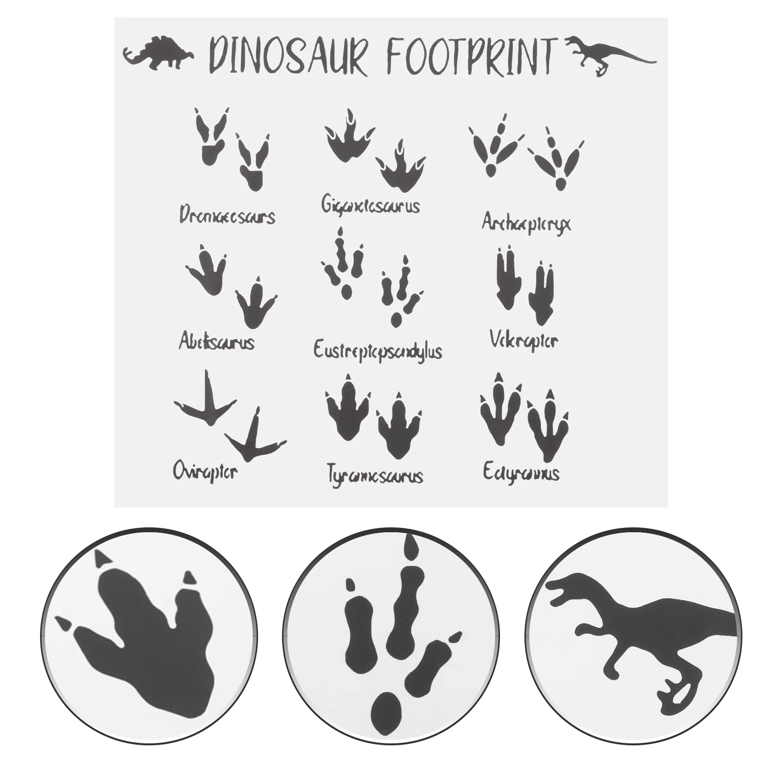 

Dinosaur Footprints Wall Sticker Adhesive Dinosaur Footprint Decal for Children Room