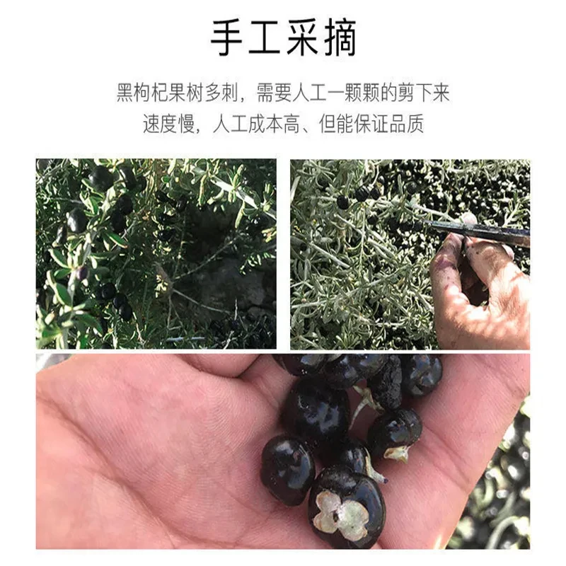 우유 음료 디저트 케이크 베이킹 재료 아이스크림 도구, 도매 100% 천연 블랙 구기자, 80 g/bag