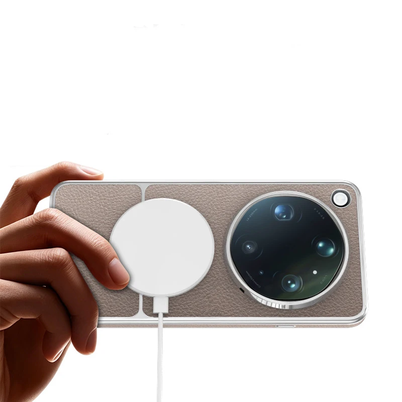 Luxury Magnetic Lychee Pattern Leather Case with Electroplated Frame and Camera Protection