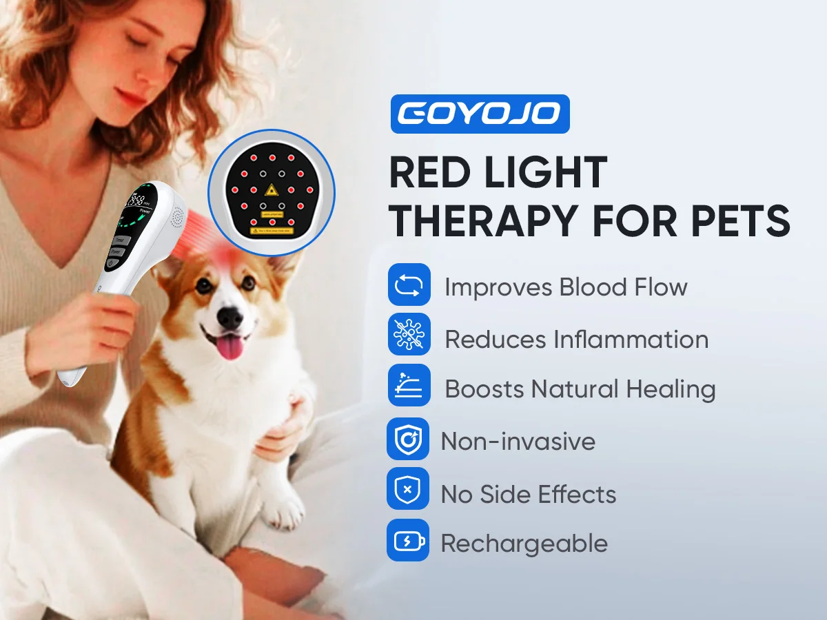 Physiotherapy Instrument Cold Near Infrared Light Therapy Device Fast Recovery T