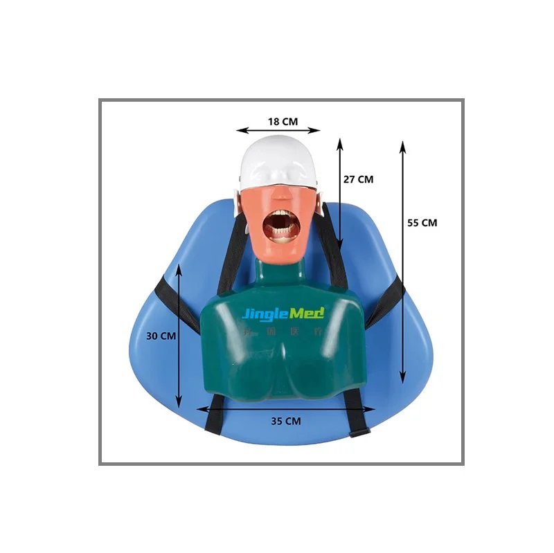 

China Den tal education phantom head Den tal manikin model with bandage