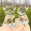Natural Clear Glass French Bulldog Hand-carved Cartoon Crystal Healing Stone Home Decor Creative Christmas Gifts For Kids 1pcs 5