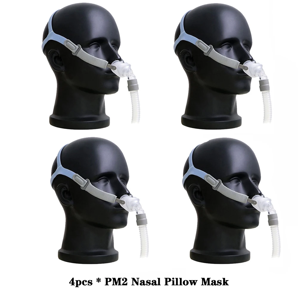 4 PCS PM2