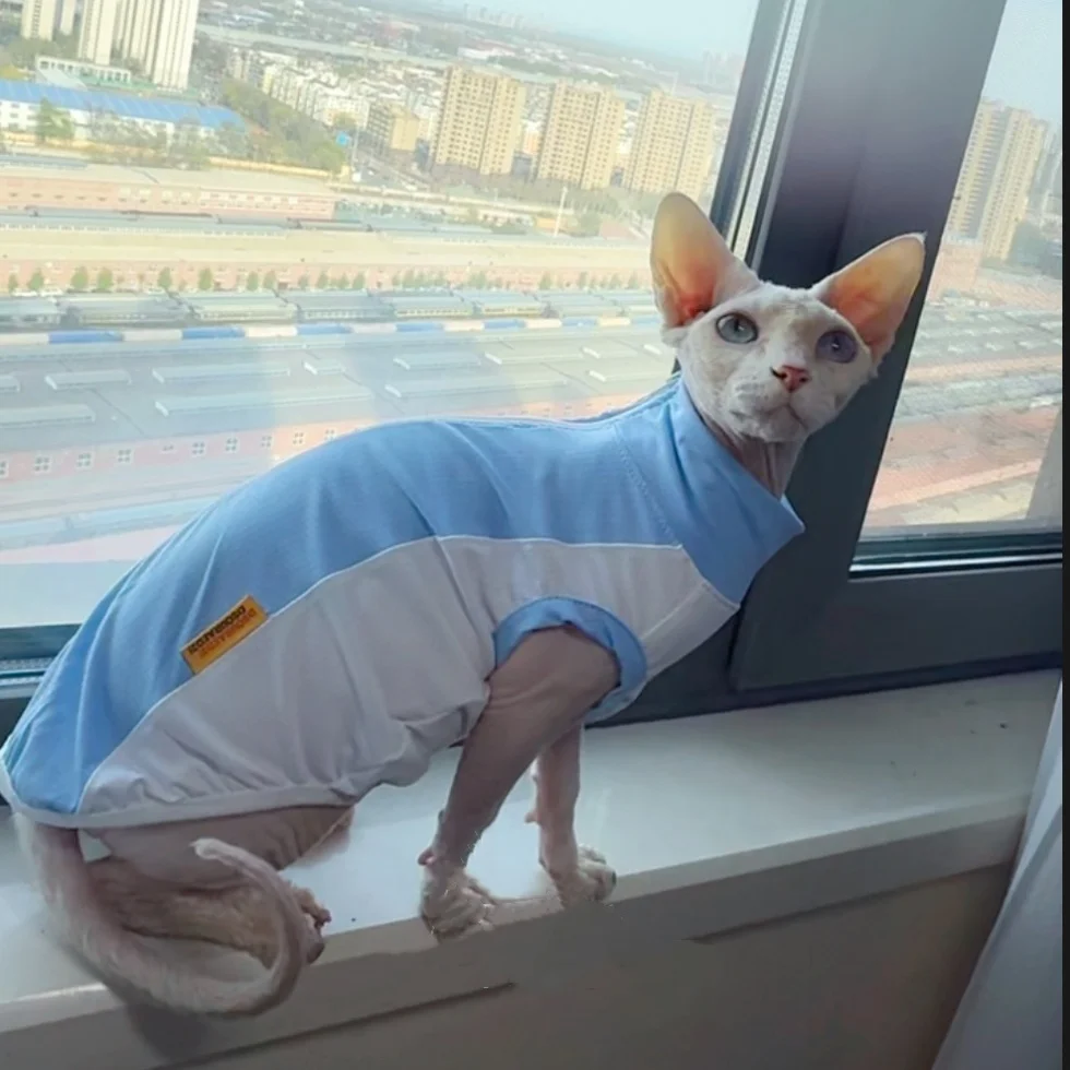 여름철 스피닉스 고양이를 위한 하이넥 지퍼형 자외선 차단 스트레치 블루 메쉬 조끼, 새끼 고양이와 소형견을 위한 통기성 쿨링 셔츠