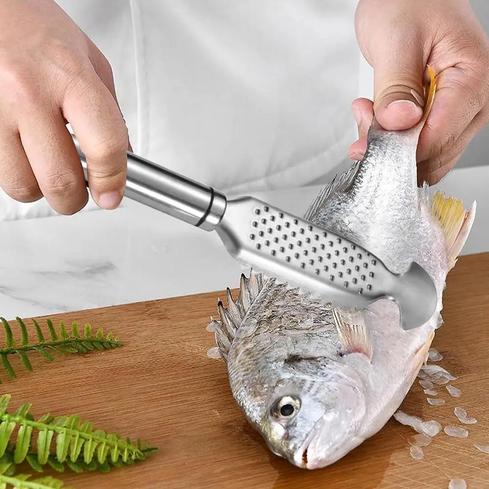 Description Picture 3 of itemFish Scale Remover Stainless Steel Fish Scraper With Ginger Grater Design Fish Cleaning Tool For Kitchen Seafood Markets