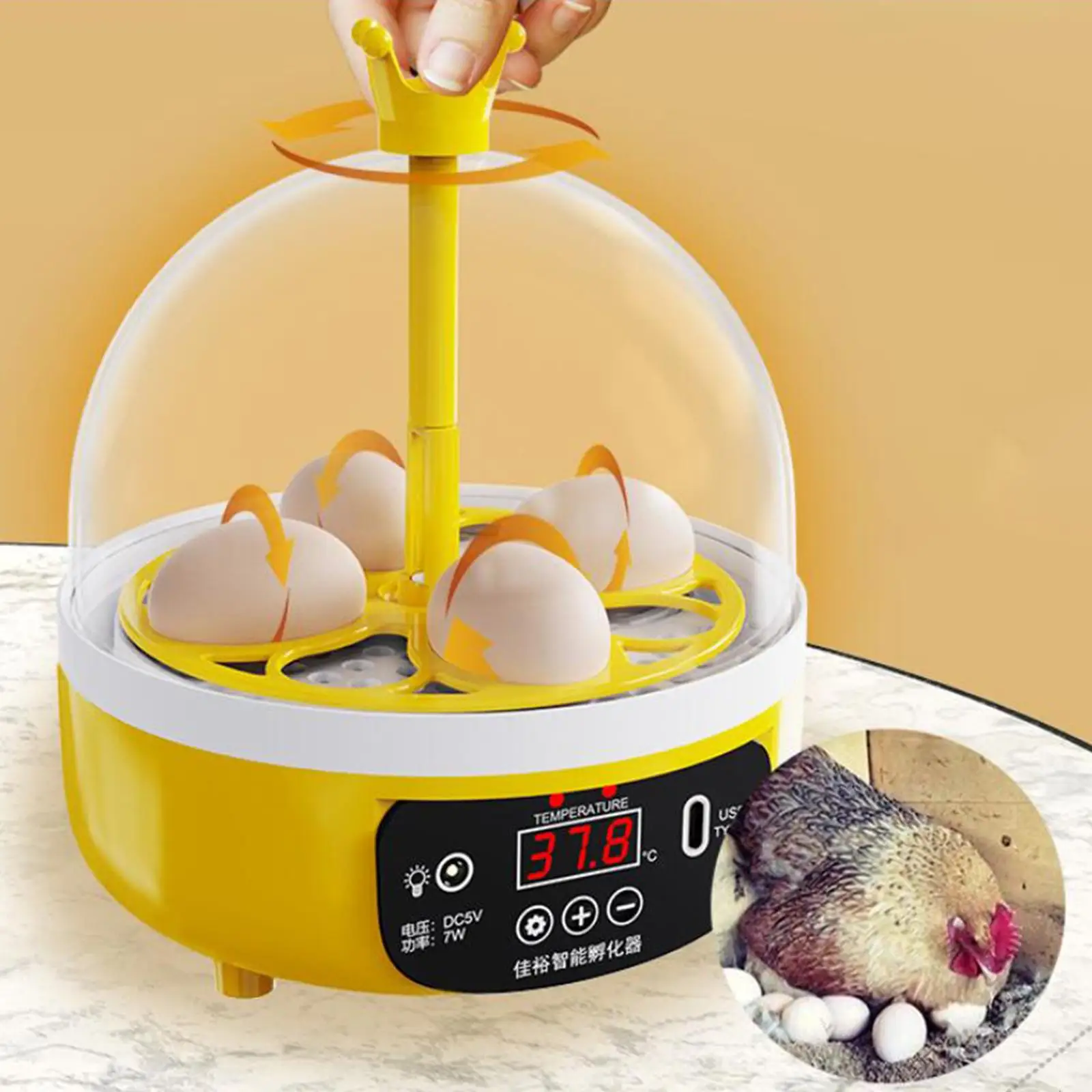 子供 産業・研究開発用品 ひよこ孵化用卵インキュベーター、自動回転