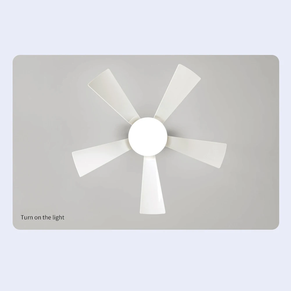 2-in-1 Portable Ceiling Fan & Light With Remote Control