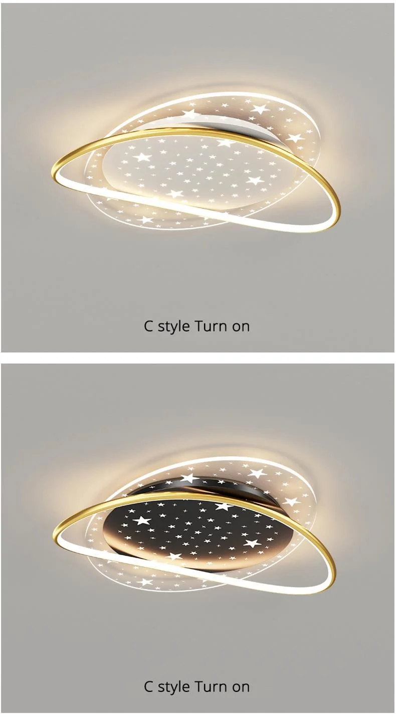 Modern LED Ceiling Light
