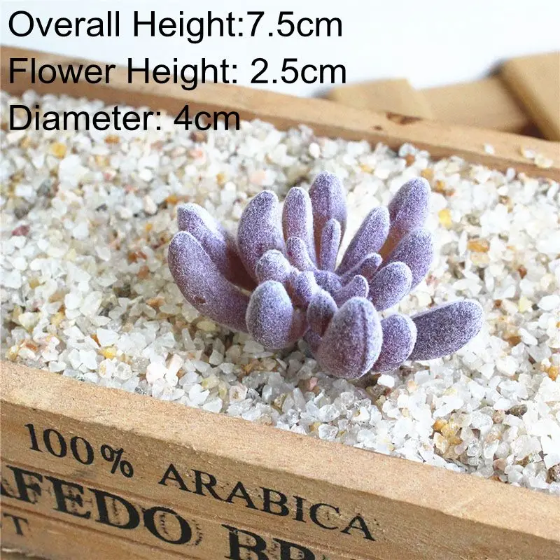 Vibrant Multicolor Flocking Succulent Plants