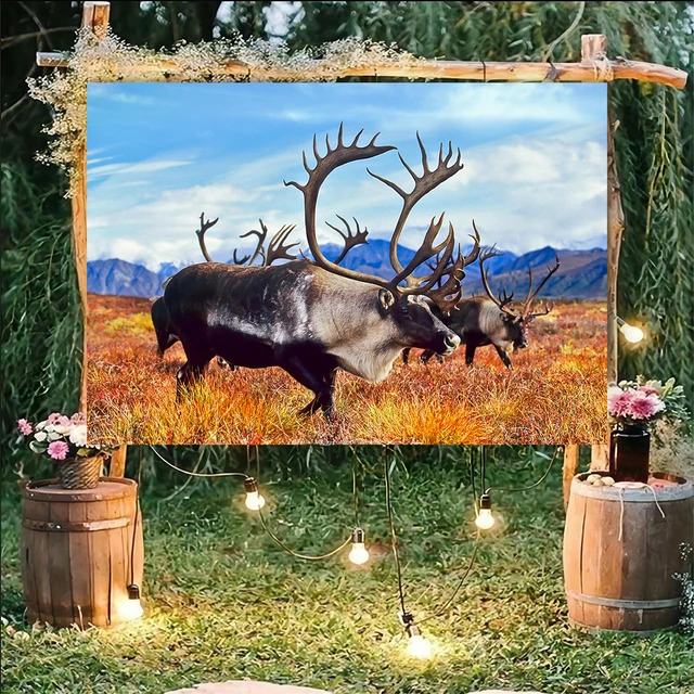 Alaska Nature Animal Backdrop River Fishing Living Room Decoration School  Wall Art Photography Background Theme Party Bar Decor - AliExpress