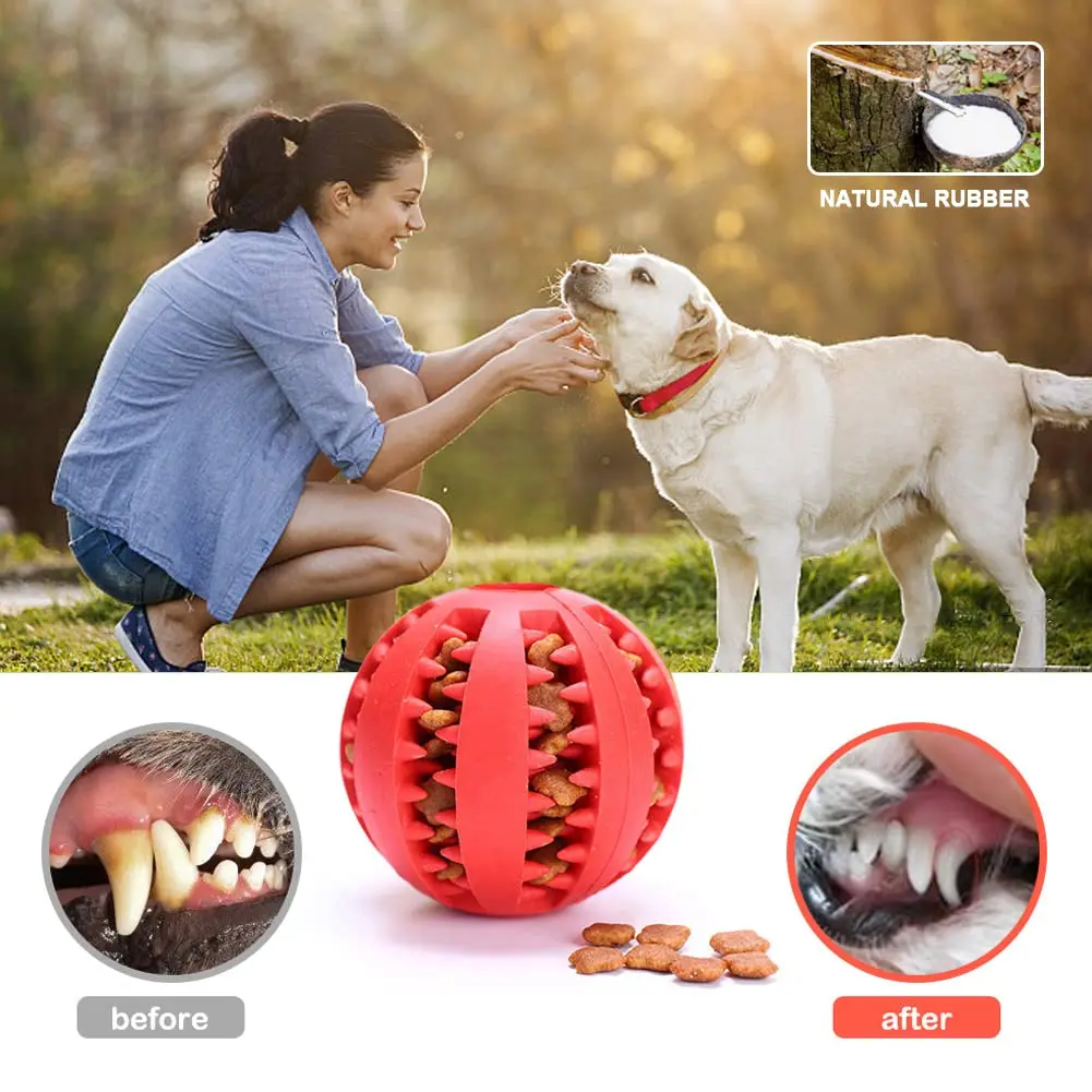 Rubber Dog Treat Ball Set 4