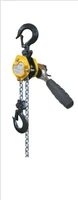 Portable Chain Hoist Light Weight Lifting Equipment 250kg 500kg Manual Lever Chain Block 2