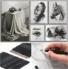Drawing Pencils Sketch Pencil Art Supplies Set For Adults Beginners Professional Sketching Art Graphite Charcoal Blending Stump 2