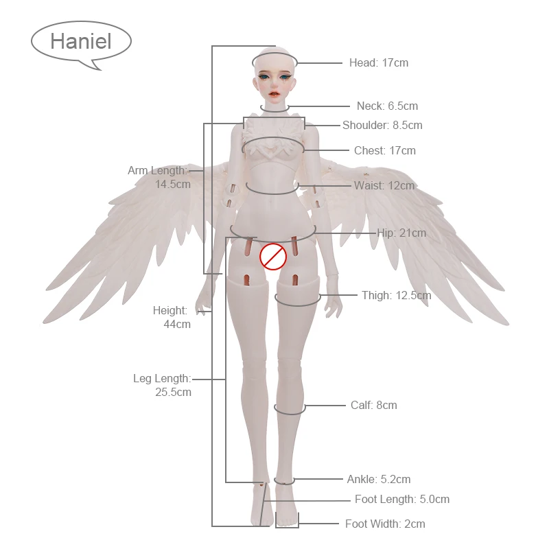 Angel Wings 航空劇画ハードカバー大型本 Angel Wings 航空劇画ハードカバー大型本 Amazon.co.jp: Angel