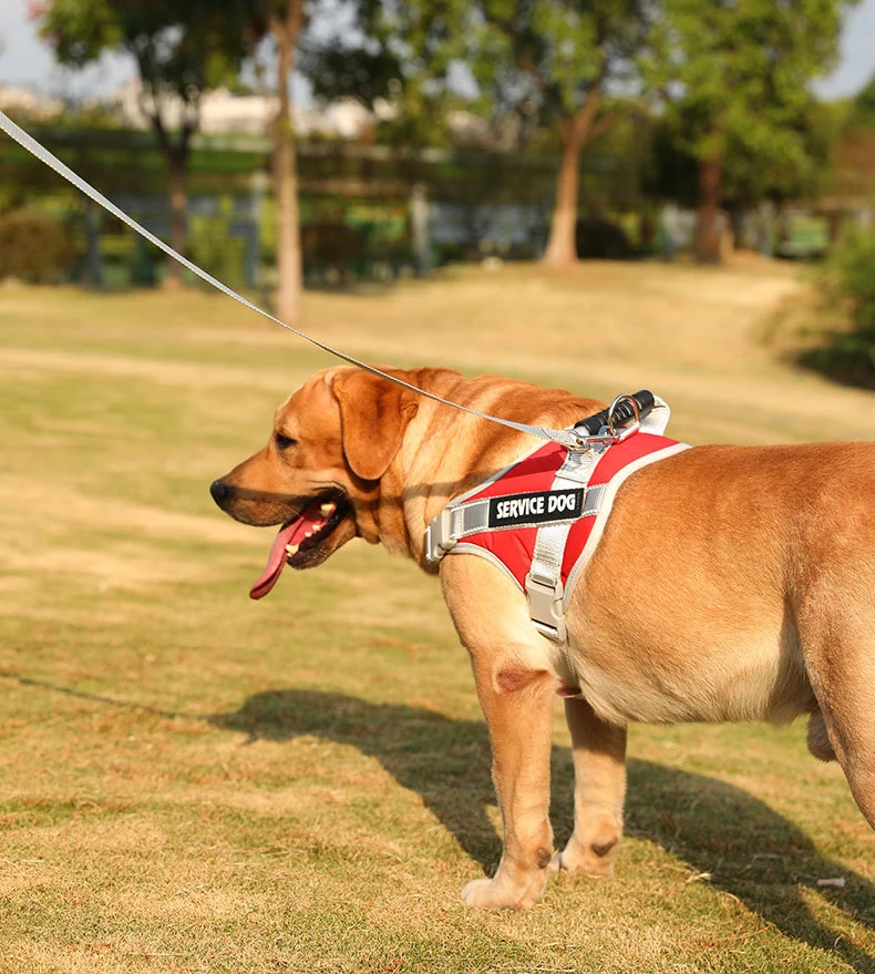 best harness for german shepherd