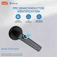 Tuya Bluetooth Biometric Electronic Lock Smart Fingerprint Password App Unlock Intelligent Door Handle Lock Home Security - Image 2