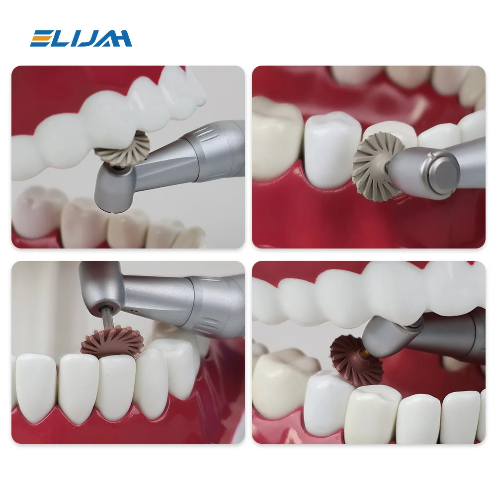 6 Pz/scatola Lucidatore In Gomma Dentale Resina Composa
