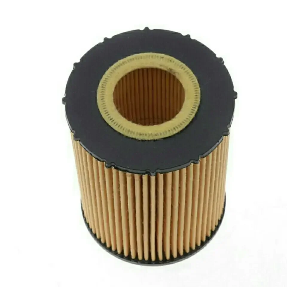 Car Oil Filter for BMW E60 E63 E65 E66 E70 550i 650i 750Li 760i X5 4.8 6.0L