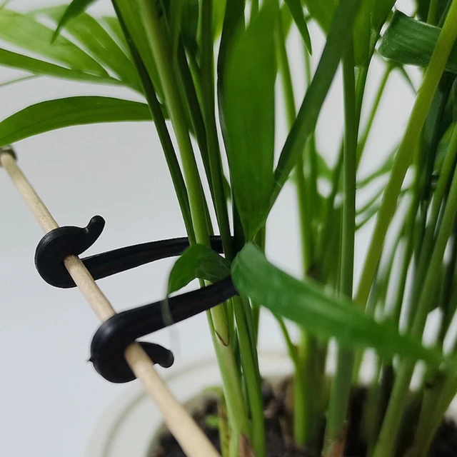 50X Kerti Növények Csomagolt Csatszőlő Szőlő Zöldség Heveder Klipek Üvegházhatású Zöldségek Szárak Rögzítő Rögzítőszerek Szerszám - Image 3