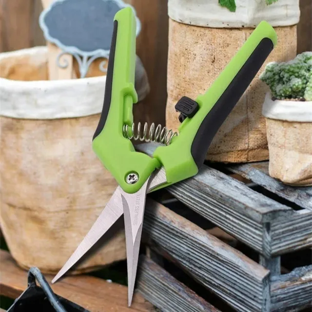 Professional Garden Shears Scissors Hand Tools 65 Inch Pruner Pruning Shears with Stainless Steel Blades for Plant Trimming 3