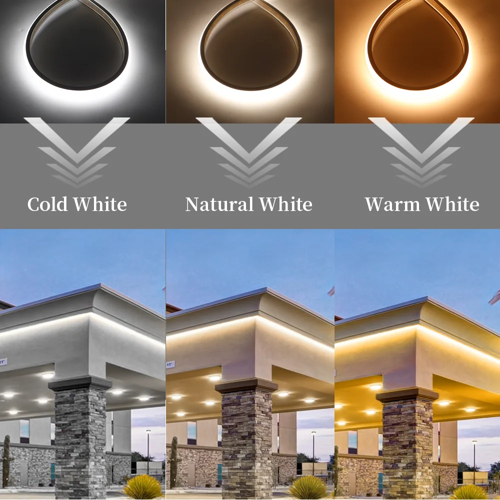 Warm White vs Cool White Outdoor Light: Which One Truly Works Best for Your  Garden?, image size:1000x1000