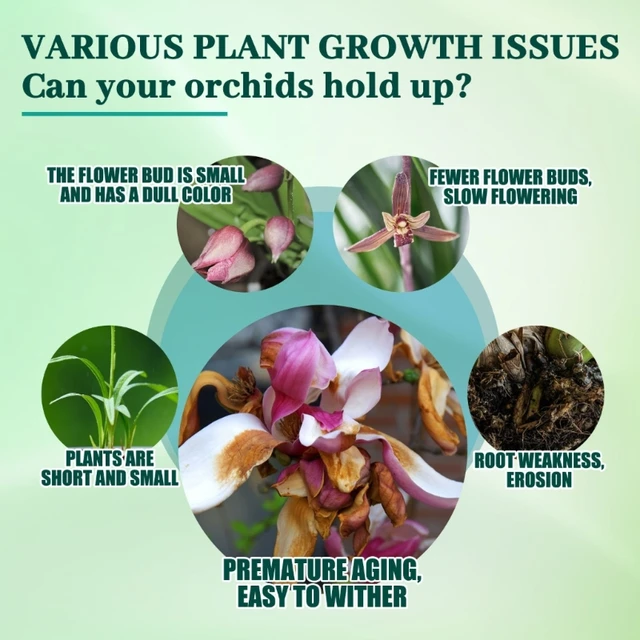 Gyors Gyökérgyökér Növekedés Fokozó Műtrágya-For Garden Hydroponic Pottedflower - Image 3