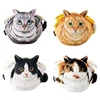 Cat Shape Cosmetic Bag Multifunctional Beauty Bag Dustproof Large-Capacity Ladies Travel Makeup Case Girl Makeup Bag 1