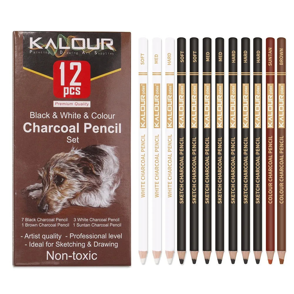 White Charcoal Pencil Set, Camlin Charcoal pencil Set