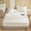 Warm Milk Velvet Bed Sheet Style Thick Comfort Mattress Cover Single Queen King Size Elastic Band Fixed Mattress Protector Decor 6