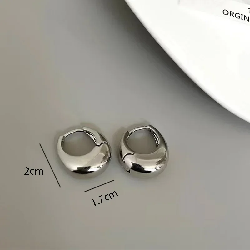 Sleek Stainless Steel Chunky Hoop Earrings - Trendy 2024 Women's Fashion Statement Jewelry