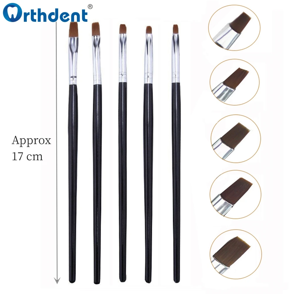 Dental Resin Brushes 5 Pcs Dentistry Shaping For Adhesive Porcelain Teeth Composite Cement Adhesive Dentist Oral Tools