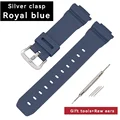 Blue-Silver Buckle