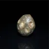 Beautiful Energy Stone Natural Alashan Gobi Agate Eye Stone Agate & Rough Stone Boutique Mongolia Original Colors and Shape 4