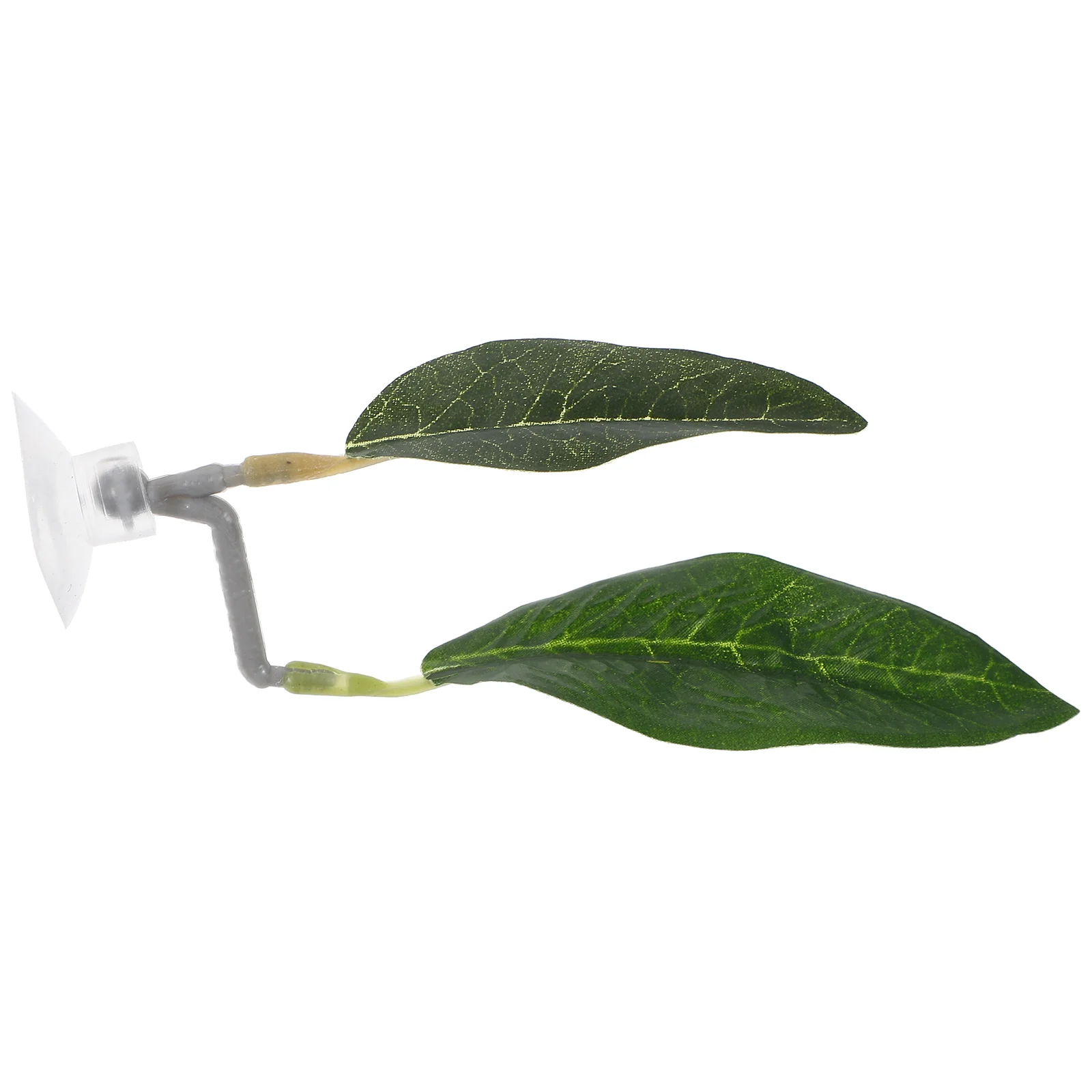 

Betta Spawning Ground Betta Fish Leaf Pad Betta Breeding Resting Bed Fish Tank Accessory
