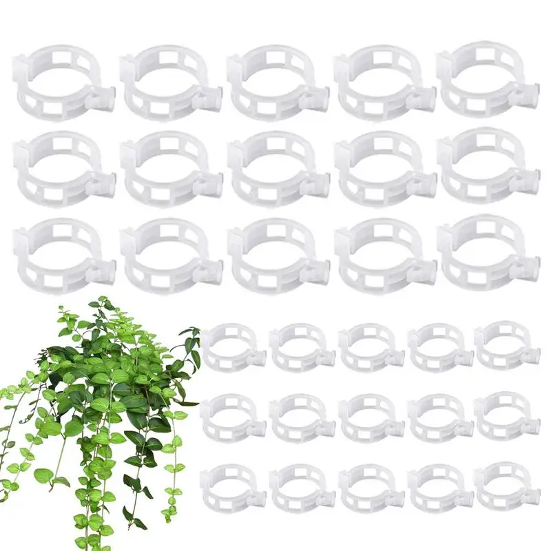 

Tomato Clips 100 Pieces Vine Clamps Support Clips For Climbing Trellis Flower Crop Orchid Vegetable To Grow Upright And Make