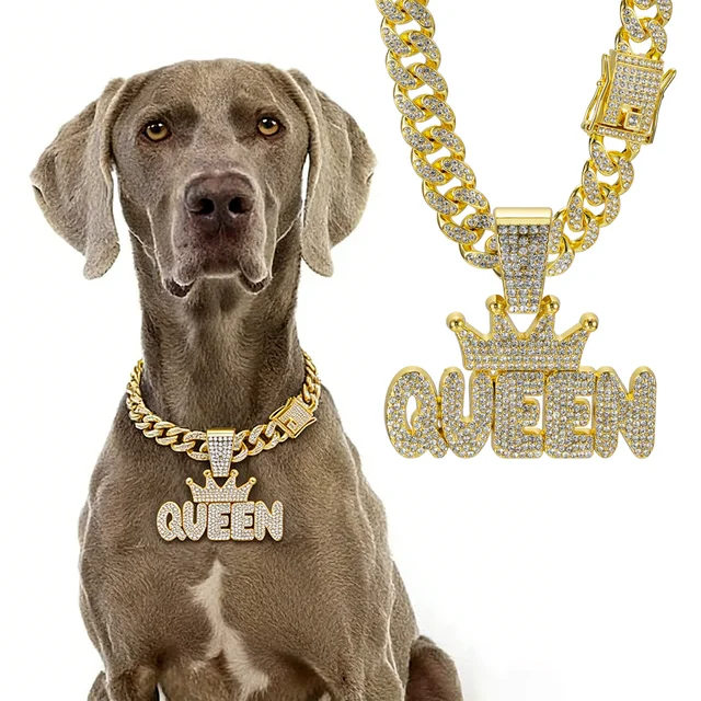 Collier pour chien en or, pendentif de luxe, collier pour chien en métal avec boucle design, collier pour animaux de compagnie, accessoires de bijoux pour chiens de taille moyenne et grande 1