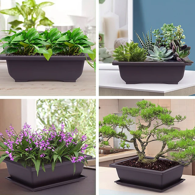 Virágcserepek Utánzat Lila Agyag Zamatos Növények Edények Kültéri Kerti Táj Bonsai Edény Tálcák Téglalap Alakú Négyzet Ültetvény - Image 6