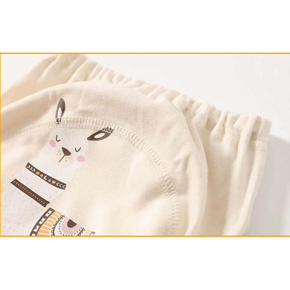 Reusable Potty Training Pants 3