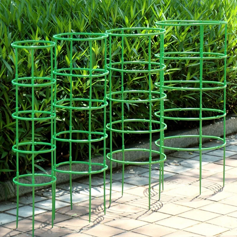Climbing Plant Support Stakes 4
