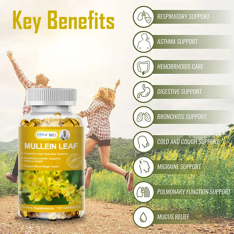 Mullein Leaf Extract Capsules Herbal Respiratory Supplement for Lung Cleanse Support Better Respiratory Immune Function