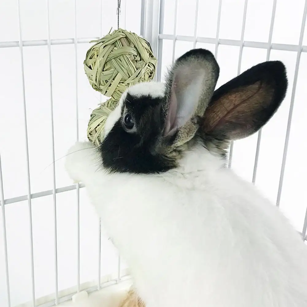 Pet Rabbit Hamster Molars Toys Straw Ball Hanging String To Relieve Boredom Pet Products pet toys,pet chew toys,pet teeth grinding toy,hamster toy,pet grass ball