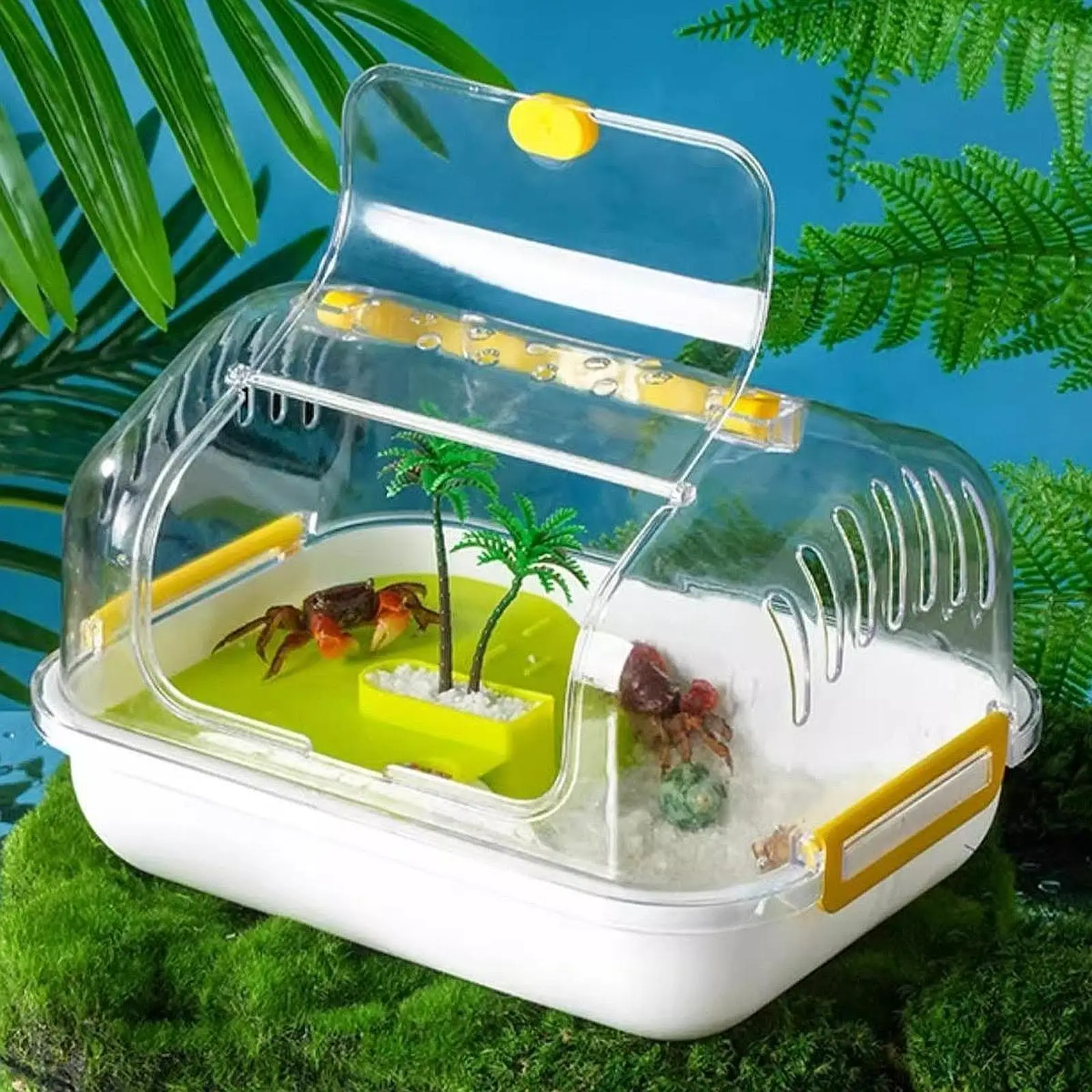 Turtle Tank Aquarium Pets Accessory with Lid Tortoises Case Reptile Carrier Box for Beetles Hermit Crabs Silkworms Crabs Snail